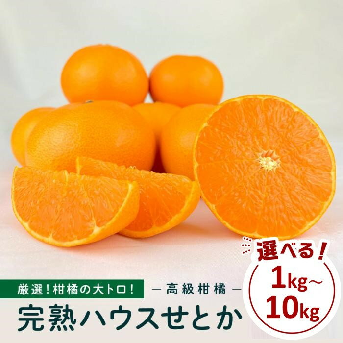 【ふるさと納税】柑橘の大トロ！完熟ハウスせとか 選べる!! 1kg～10kg | みかん せとか 柑橘 果物 フルーツ 産地直送 送料無料 人気 おすすめ 瀬戸内 広島県 尾道市