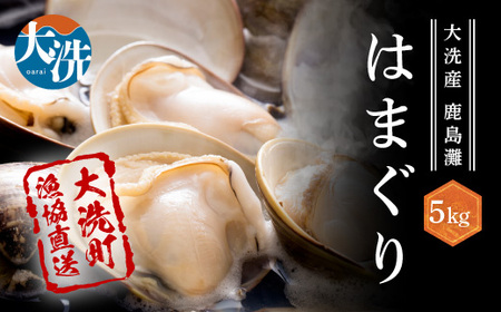 大洗産鹿島灘天然はまぐり 5㎏ 冷蔵 お吸い物 ハマグリ 蛤 貝 砂抜き処理 魚介類 大洗産 天然 はまぐり_BQ014