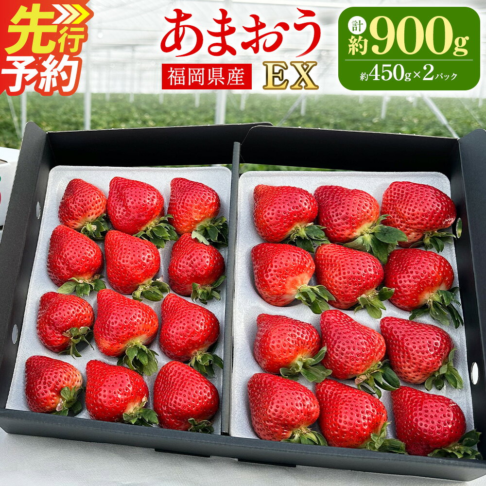 【ふるさと納税】ギフト配送 福岡県産あまおう EX 約450g×2パック〈特別栽培〉 あまおう いちご イチゴ 苺 フルーツ 果物 国産 九州産 福岡県 冷蔵 ブランド エコファーマー認定農家 GAP認定 送料無料 【2027年1月上旬～3月下旬発送予定】