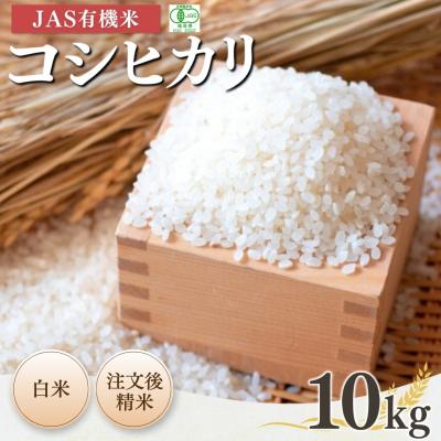 ふるさと納税 南相馬市 JAS有機米 コシヒカリ 白米 10kg 令和7年産  根本有機農園 bd001-ac