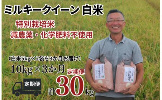 【ミルキークイーン 定期便 白米 10kg✕3か月連続 松原グリーンファーム】 特別栽培米 ミルキークイーン 白米 10kg （5kg×2袋） 3か月  合計 30kg  令和7年産 2025年産 小分け 単一米 精米  減農薬 化学肥料不使用 埼玉県認証 埼玉県 川島町