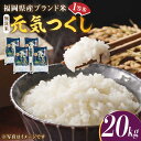 【ふるさと納税】【令和5年産】福岡県産ブランド米「元気つくし」無洗米 20kg (5kg×4袋)《築上町》【株式会社ゼロプラス】40000円 4万円 [ABDD006]