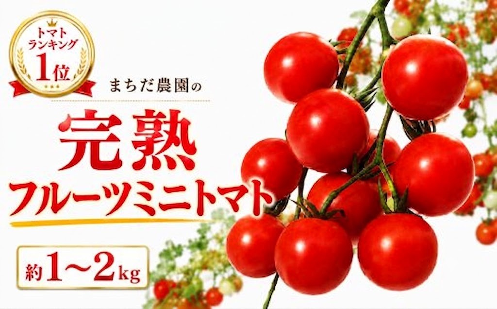 
                  トマト フルーツミニトマト 1kg 2kg 先行予約 数量限定 まちだ農園のミニトマト【 トマト とまと 野菜 やさい 新鮮 産地直送 贈答 プチトマト ミニトマト tomato 高知県 中土佐町 】
                
