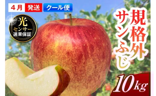 【2026年4月上旬発送】【規格外】 りんご 約10kg サンふじ スマートフレッシュ™貯蔵 または CA貯蔵 【クール便】 青森県産