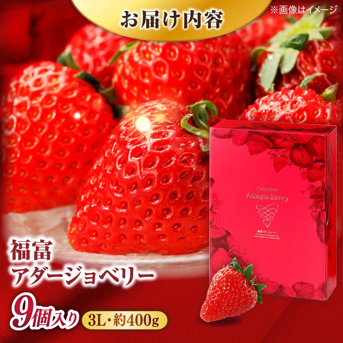 【先行予約】苺 いちご「福富アダージョベリー」3Lサイズ9個入り[ALFI002] 