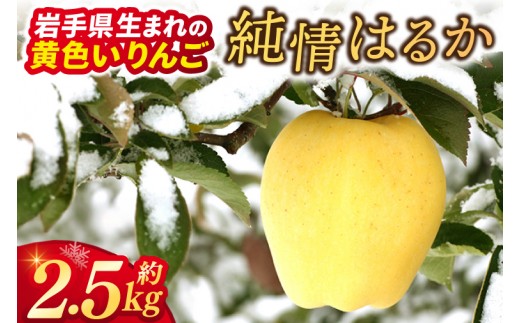 
                  岩手県産 りんご 純情はるか 糖度14度以上 樹上完熟 自家用【冬恋研究会】 (AI024)
                