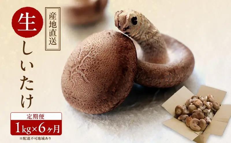 【 産地直送 】 有機JAS 生しいたけ定期便 1kg×6ヶ月 しいたけ