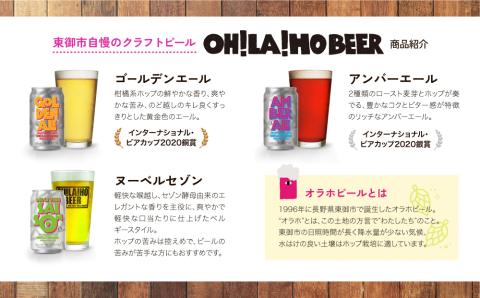 【12回定期便】オラホビール10本（3種合計10本）