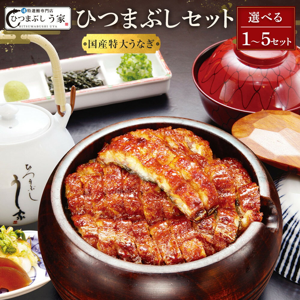 【ふるさと納税】【選べる！内容量】国産特大うなぎ　ひつまぶしセット（1～5セット） | 鰻 うなぎ ひつまぶし ひつまぶしセット 名物料理 国産うなぎ 炭火焼き 贅沢 グルメ 人気 おすすめ 蒲焼き タレ付き ご飯のお供 土用丑の日 夏ギフト 送料無料