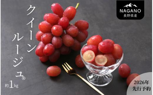 MS34-26A 【先行予約】 ぶどう クイーンルージュ®（長野県産秀品） 約1kg / 2026年10月中旬～11月上旬頃 配送予定 // 稀少 新品種 長野県 南信州 高糖度 葡萄 ブドウ 甘い 種なし 皮ごと