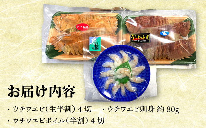 ウチワエビ 美味三彩 3種【平戸さくら水産】[KAA144]/ 長崎 平戸 魚介類 海老 えび エビ ウチワエビ 刺身 ボイル 半身 個包装 しゃぶしゃぶ