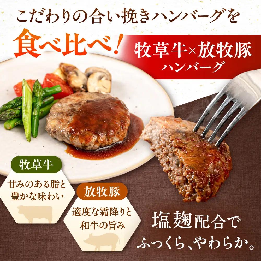 ハンバーグ 2種食べ比べ 10個セット 蝦夷鹿/牧草牛/放牧豚 ジビエ 卵不使用 合い挽き 冷凍 小分け 北海道 食べくらべ [AXBP009]