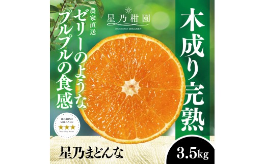 星乃みかん園の 星乃まどんな (3.5kg)＜D45-63＞_ ミカン 蜜柑 みかん マドンナ 紅まどんな同品種 フルーツ 果物 くだもの 柑橘 柑橘類 人気 美味しい 愛媛県 八幡浜市 ふるさと 【1339327】 YWTAZ026