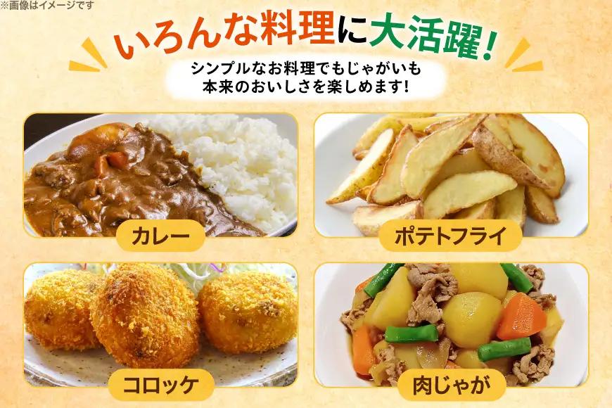 じゃがいも 北海黄金 5kg