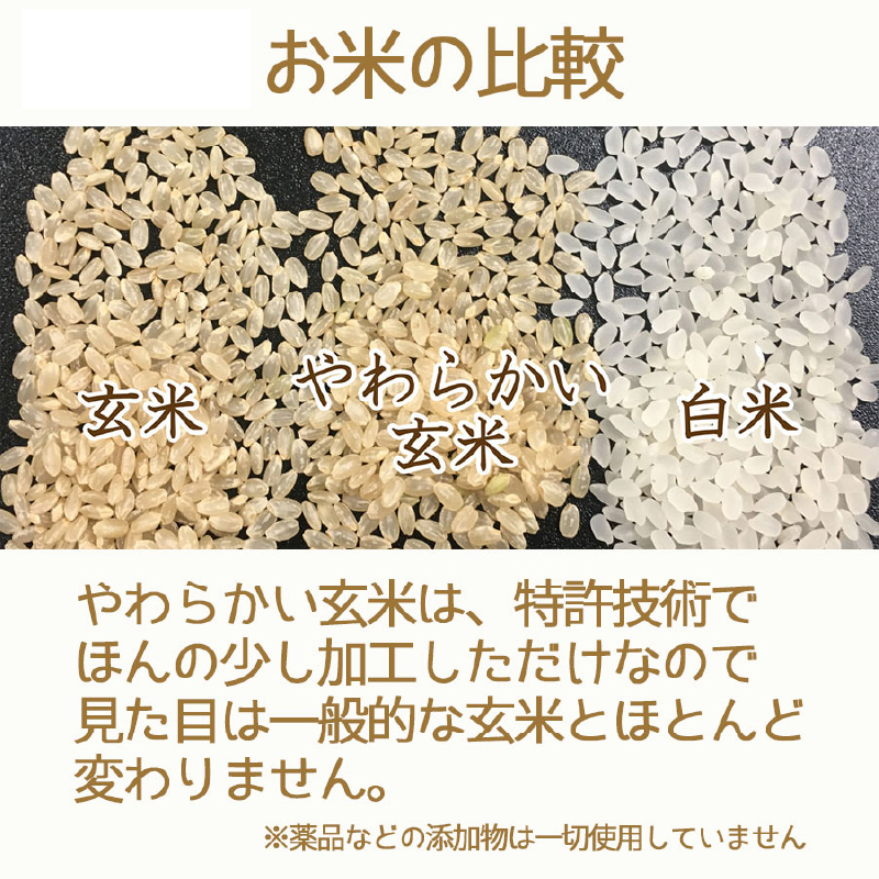 やわらかい玄米 900g×4袋　※定期便6回　小分け 米 こめ コメ ごはん 栄養豊富 簡単 便利 美容 健康 新食感 もちもち 安心安全なヤマトライス H074-644