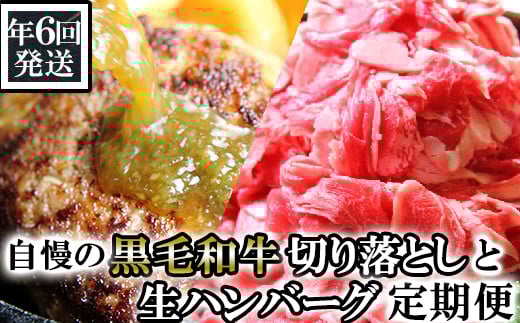 N02-13 【年6回発送】総合計14.4㎏！自慢の黒毛和牛切落しと手作り生ハンバーグ定期便