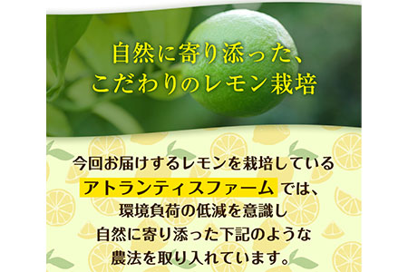 訳あり国産レモン 約5kg アトランティスファーム《11月上旬-2025年3月中旬頃出荷》｜レモンレモンレモンレモンレモンレモンレモンレモンレモンレモンレモンレモンレモンレモンレモンレモンレモンレモン