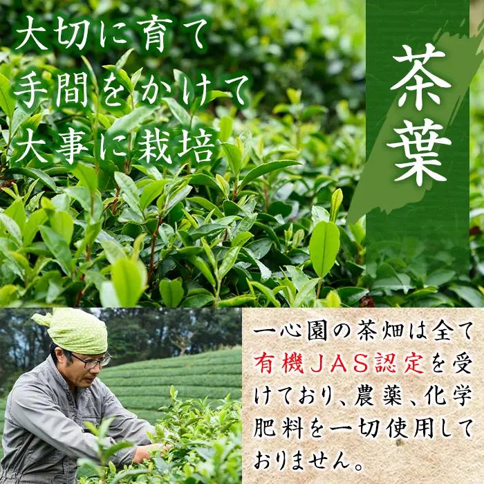 有機茶葉 一心園の有機釜炒り茶の詰め合わせセット(全3種) 水出し緑茶 お茶 緑茶 茶 釜炒り茶 有機栽培 ティーバッグ オーガニック 有機JAS認証【IS008】【一心園】