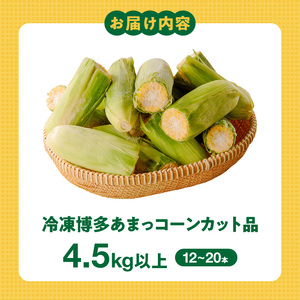 冷凍便！旬の時期に冷凍したSDGs米糠堆肥で作った博多あまっコーンカット品 4.5キロ以上（12～20本） _ 博多あまっコーン カット 4.5キロ以上 12 ～ 20本 カット品 とうもろこし 国産