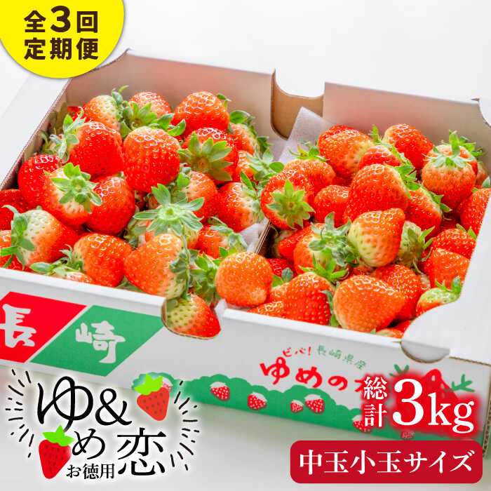 【ふるさと納税】【先行予約】【全3回定期便】お徳用 バラ詰め イチゴ 1kg （ゆめのか・恋みのり）【2026年2月以降順次発送】《壱岐市》【蒼花】 [JEO004] いちご イチゴ 苺 フルーツ 果物 スムージー ジャム ゆめのか 恋みのり 冷蔵 訳あり ではない 30000 30000円