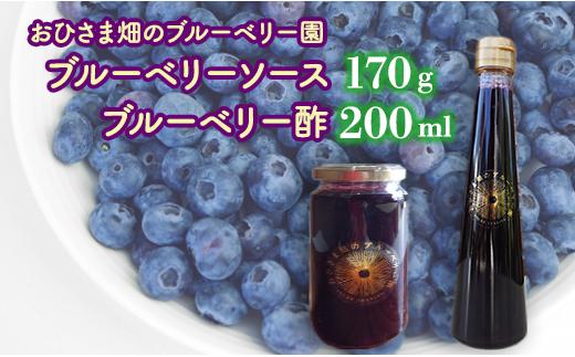 
【おひさま畑のブルーベリー園】ブルーベリーソース（170g）1本×ブルーベリー酢（200ml） 1本
