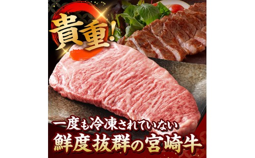 【A5等級】【新鮮チルド便】宮崎牛特選サーロインステーキ 400g　【 肉 宮崎牛 ステーキ サーロイン 牛肉 厳選 A5 】