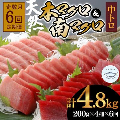 ふるさと納税 室戸市 【6回定期便】本マグロ　南マグロ　中トロ　各2柵　奇数月にお届け