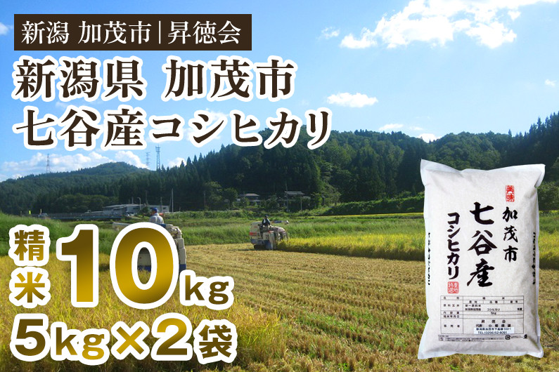 
【令和6年産新米先行予約】新潟県加茂市 七谷産コシヒカリ 精米10kg（5kg×2） 白米 高柳地域産数量限定 昇徳会
