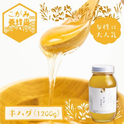 ふるさと納税 飛騨市 キハダ 蜂蜜 1200g[Q1204]