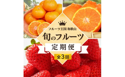 フルーツ 定期便 【全3回定期便】フルーツ大国和歌山よりお届け！旬のフルーツ定期便B【田村みかん・まりひめ・紀州デコ】 / フルーツ 果物 みかん いちご  旬 定期便  【tkb351】