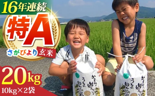 【先行予約】【2026年12月発送】令和8年産 さがびより 玄米 20kg ( 10kg×2袋 ) 【ひなたむらのお米】 [HAC005] 米 佐賀 佐賀県産 特A評価 特A米 玄米