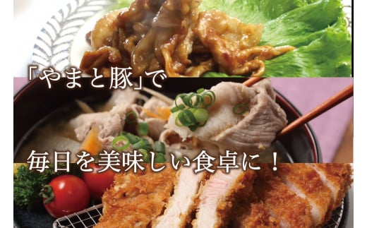 岩手県産 やまと豚５種2.6kg 国産 肉 豚肉 やまと豚 鍋 焼肉 豚ロース 豚バラ 豚こま モモスライス ひき肉 とんかつ 生姜焼き しゃぶしゃぶ 真空パック