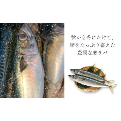 ふるさと納税 浦河町 浦河前浜の恵み!真イカ開き(刺身可)&天然大さば一夜干しセット[08-1528] |  | 01
