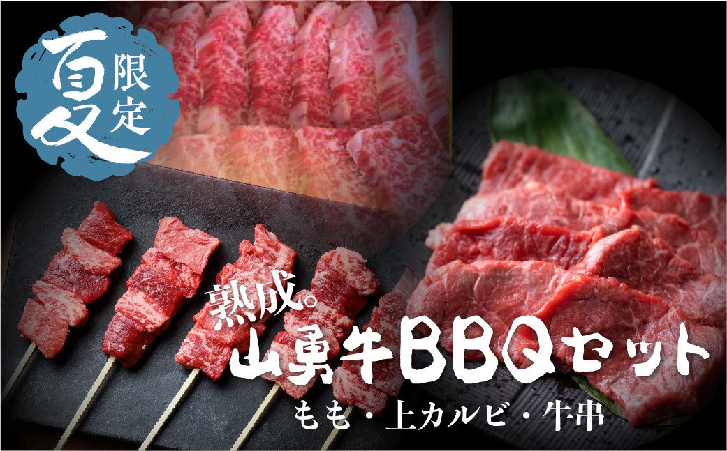 
《夏季限定》飛騨牛BBQセット もも焼肉用 300g 上カルビ 焼肉用 300g 牛串 10本セット バーベキュー 牛肉 和牛 先着200名様限定箸付
