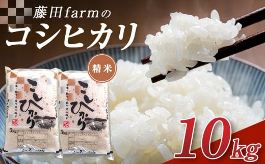 令和7年産 大田原市 藤田farmのコシヒカリ 10kg ｜栃木県産 米 お米  コメ こしひかり コシヒカリ 栃木県 【選べる容量】5kg 10kg  数量限定