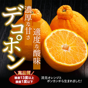 【2027年先行予約】デコポン 秀品 18玉～24玉 和歌山県有田産_U6300