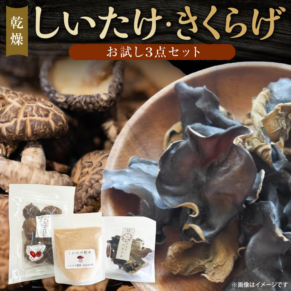 【ふるさと納税】【お試し3点セット】しいたけ・きくらげセット 合同会社knot 奈良市 なら I-313