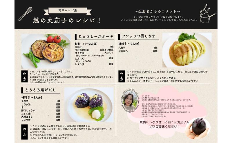 【先行予約　7月上旬より順次出荷】新潟県上越市産　茄子の大トロ　越の丸茄子2kg詰め（9個入）ナス　丸茄子　野菜　新潟　上越