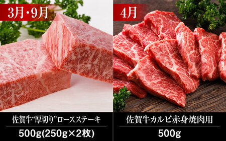 【全12回】佐賀牛 A5 霜降り 食べ比べ 定期便 約2-3人前 総計6.8kg  /焼肉どすこい [UCC004] 最高級 牛肉 肉 ステーキ スライス ローストビーフ 焼肉
