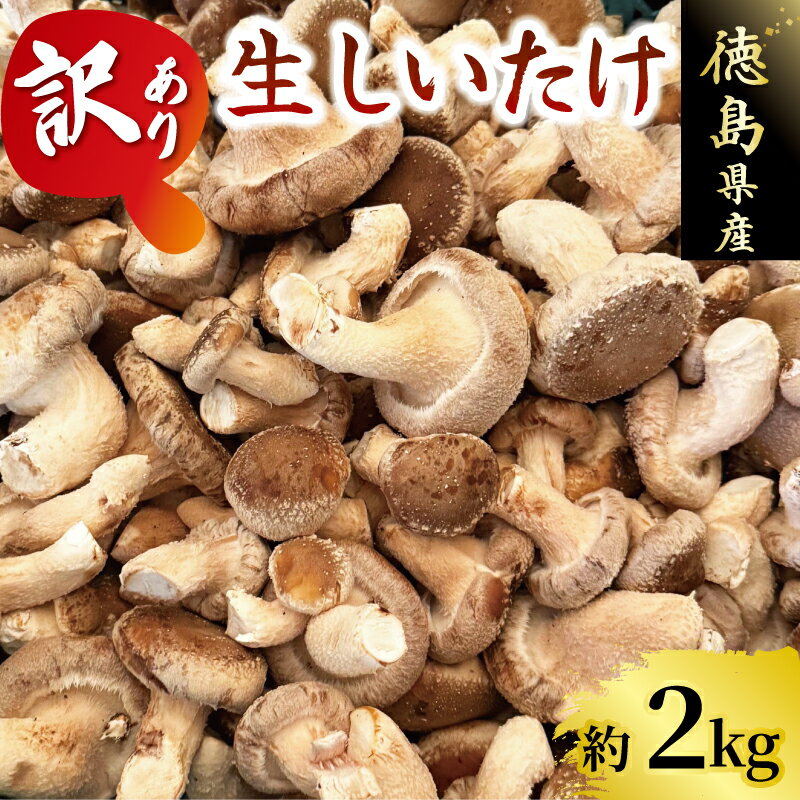 【ふるさと納税】 訳あり しいたけ 2kg 程度 きのこ キノコ 椎茸 ステーキ 生しいたけ 生 シイタケ サイズ不揃い だし ダシ 焼きしいたけ 肉詰め 鍋 味噌汁 スープ 野菜 新鮮 旬 食べ応え 厚い 肉厚 うまみ セット 菌床しいたけ 大西農園 徳島県 三好市 みよし