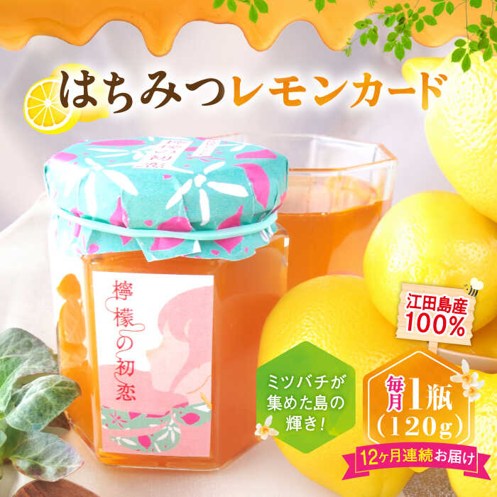 【ふるさと納税】【全12回定期便】江田島産100％ はちみつ レモンカード檸檬の初恋120g×1本 ハチミツ バター 蜂蜜 広島県 江田島市/はつはな果蜂園 [XCD014] ハチミツ 国産 はちみつ 人気 ジャム スプレッド クリーム バター パン
