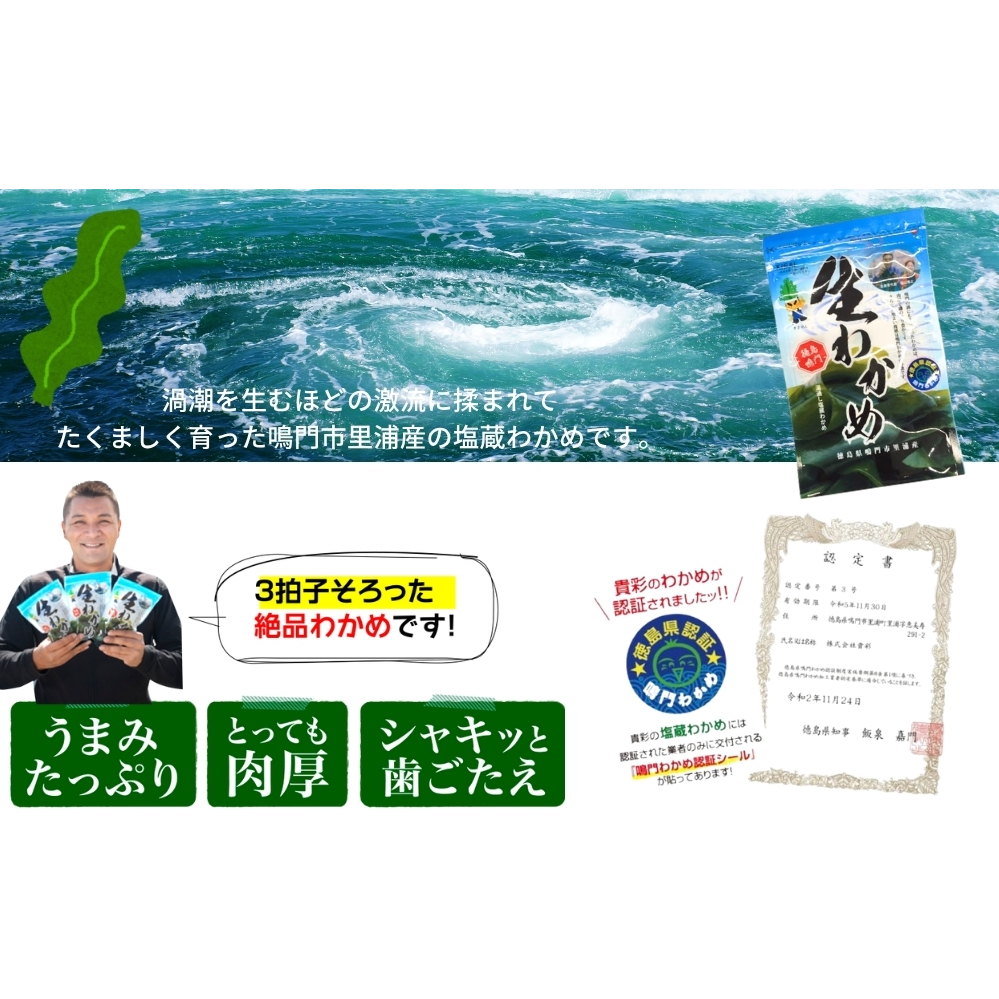 鳴門市里浦産塩蔵わかめ 120ｇ×10袋_イメージ4