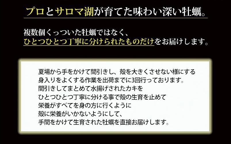 <先行予約2025年11月中旬から発送>牡蠣職人が厳選した殻付きカキ 3.5kg（生食可）牡蠣　かき　カキ　海鮮　魚介　国産　殻付き　冷蔵　焼き牡蠣　蒸し牡蠣　産地直送　生牡蠣　生食　サロマ湖　オホー