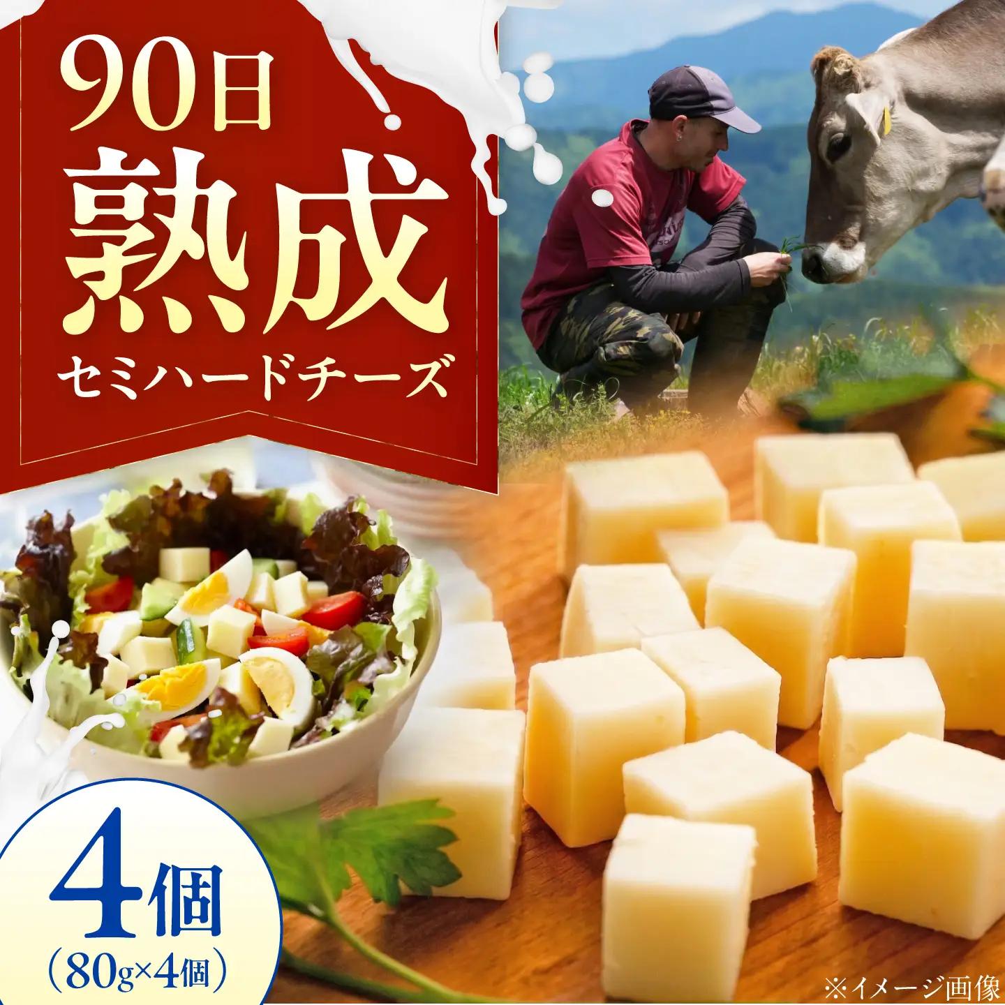 チーズ セミハードチーズ 4個セット BKAH011
