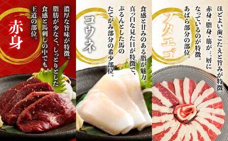 馬刺し セット 1.6kg 厳選馬刺し 最上級馬刺し 大トロ馬刺し 中トロ馬刺し 赤身馬刺し