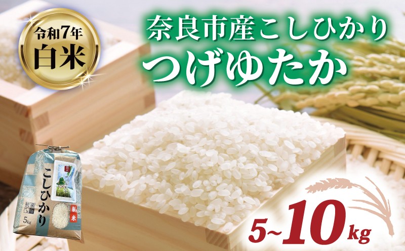 
                  白米 コシヒカリ 5~10kg 令和7年産 つげゆたか 米 お米 精米 産地直送 農家直送 おむすび こしひかり お弁当 ご飯 ごはん ブランド米 奈良県 奈良市 都祁地産地消推進会
                