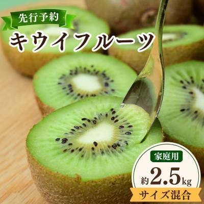 ふるさと納税 上島町 ご家庭用キウイフルーツ 2.5kg