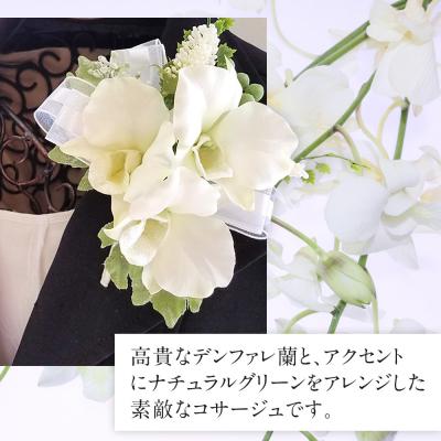 ふるさと納税 名古屋市 コサージュ　デンファレ　蘭 |  | 01