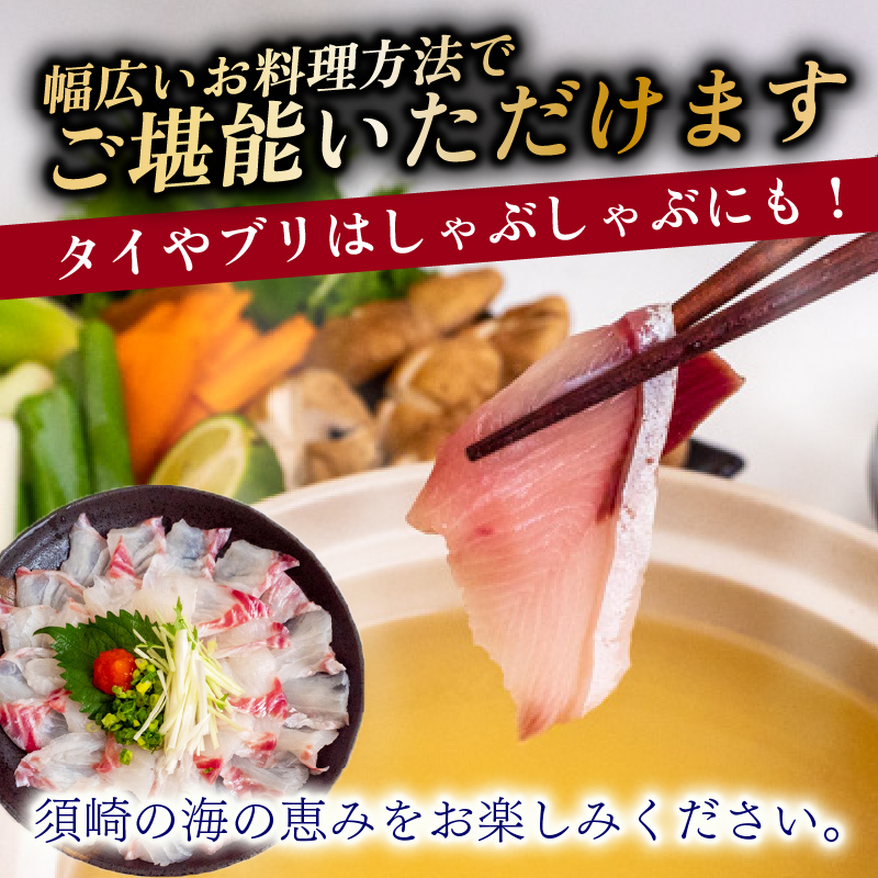 4ヶ月 定期便 旬 魚 刺身定期便 鮮魚