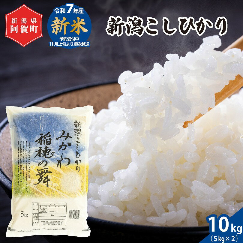 【ふるさと納税】 《新米予約》 米 10kg 《 新潟県産 コシヒカリ みかわ稲穂の舞 》 令和7年産 5kg × 2袋 阿賀 三川 | こしひかり 白米 精米 送料無料 お取り寄せ お米 金賞受賞 ※2025年11月上旬頃より順次発送